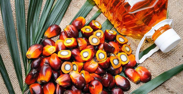 Processing of palm oil, palm kernel oil and fractionation process.